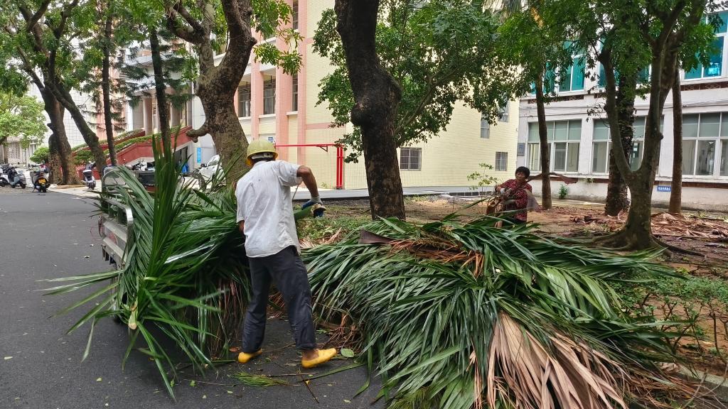 E012D9948ABA207251E23F185BB_A5634371_2A8AA