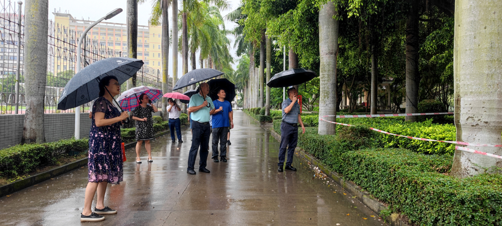 80BC18917DD2B970D2535B51361_C8B49DA7_8A708