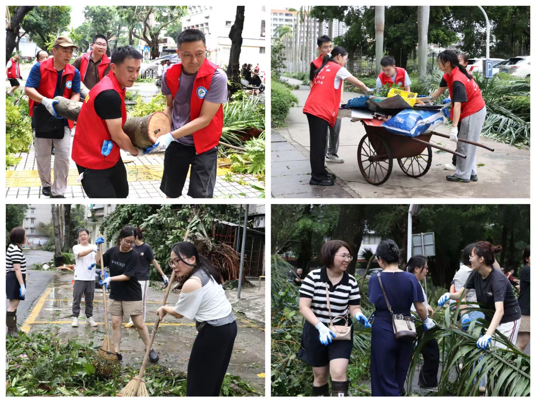 90AC7B67650F6E87A7F077BBDA1_0B5E3DAE_6A4EC