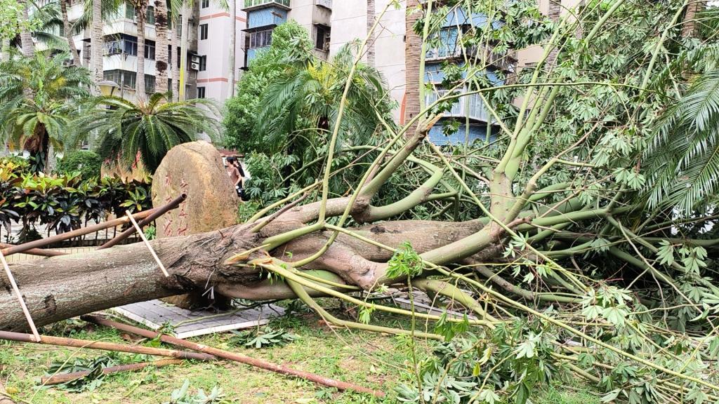 DDB0BC72C4654651D23EB105C58_21F11C01_32F72