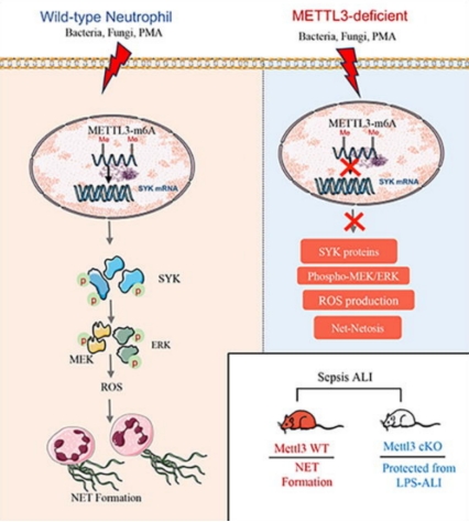 E6AAA9A56E9A6F67BA7A6018867_2B79722D_1B5F2