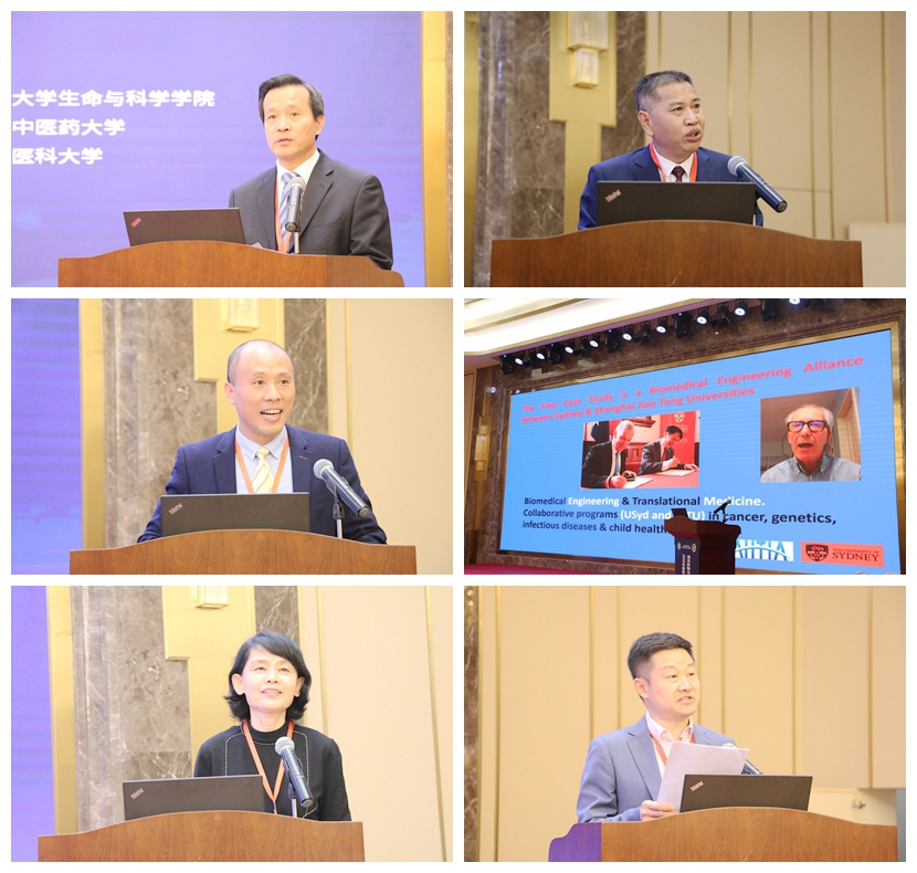 856142501FEBF116383B3497B07_248BBF7C_72BA2