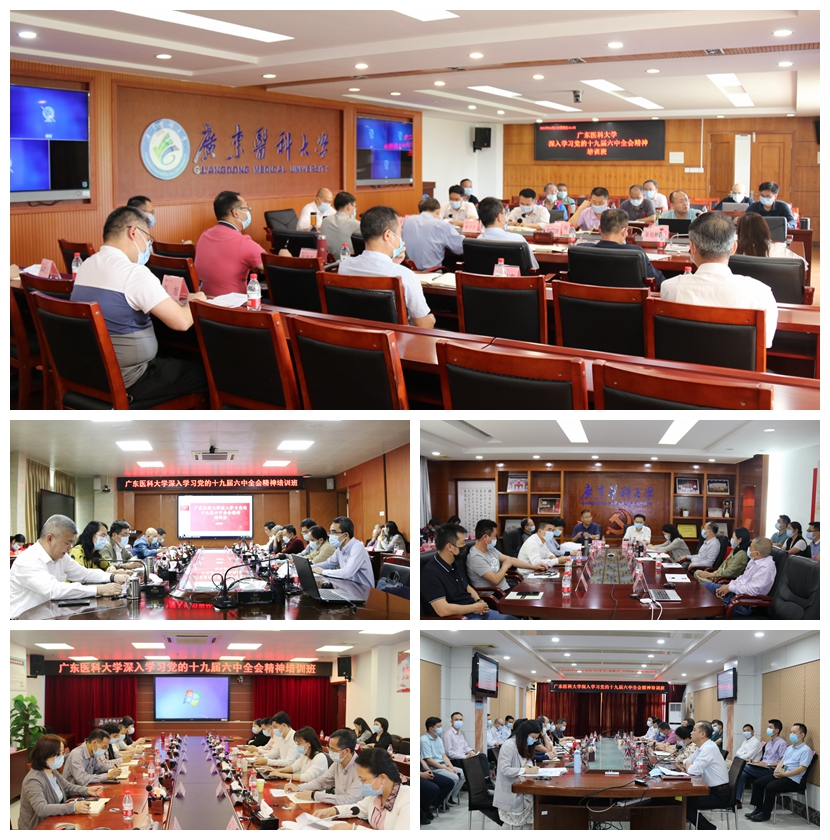 5FE16756A52BCED6C333F031DC9_2001DDEB_95E06 5FE16756A52BCED6C333F031DC9_2001DDEB_95E06