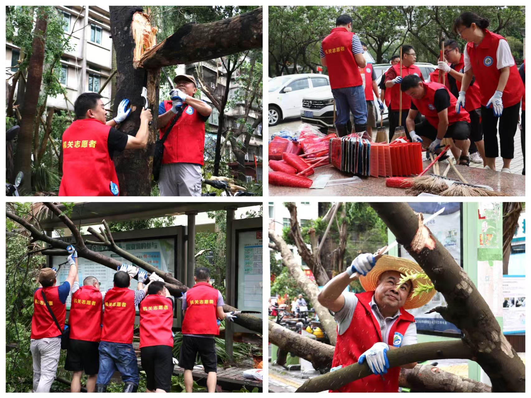 EA85329939A0965524E18BC05D1_DACBD055_63CD0