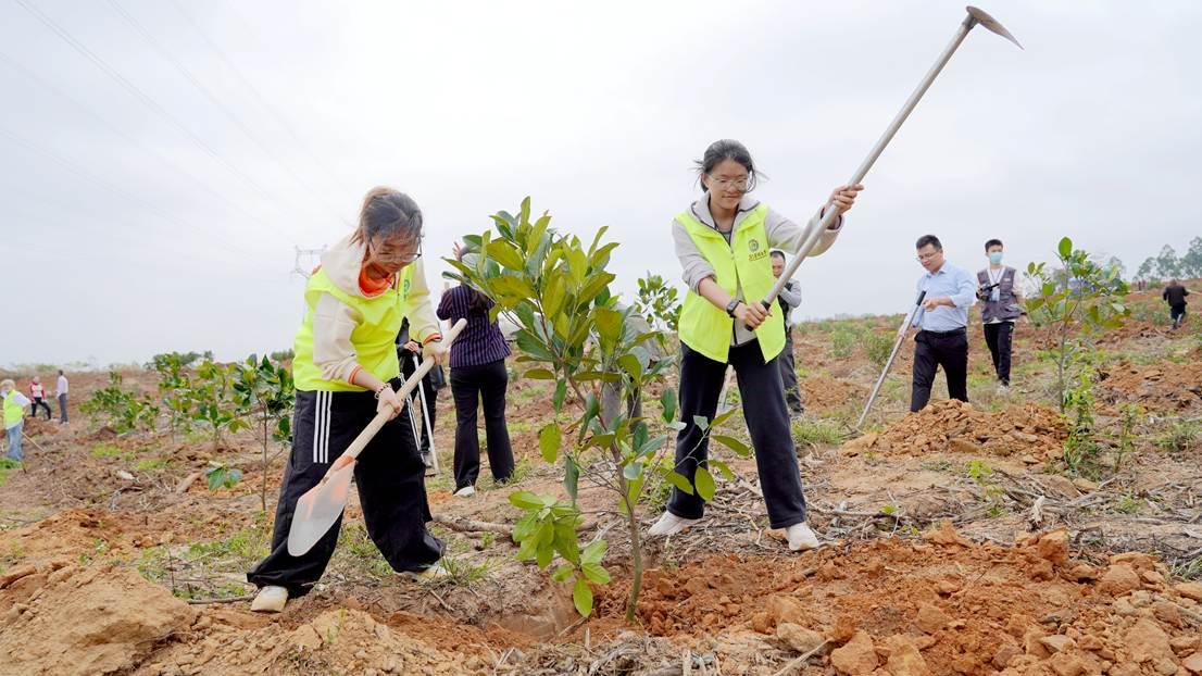 0C528511EDFFEC8A60A6FEC334C_03EFBA00_2392A 0C528511EDFFEC8A60A6FEC334C_03EFBA00_2392A