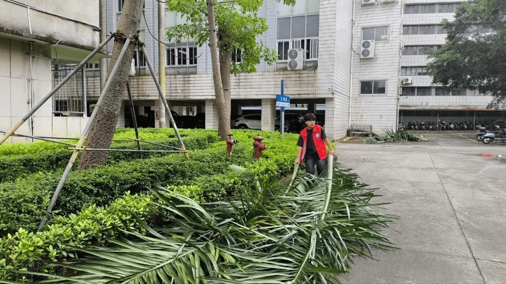 3A4766ABD706D352E6D12DE02D8_399BB0D0_257B6