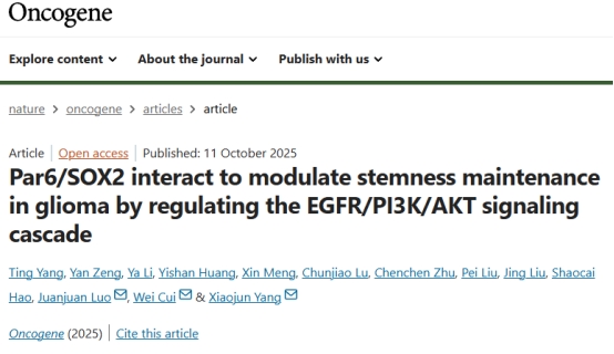 A42A03E594AE2182624D9D4E5CB_0F283156_166AB