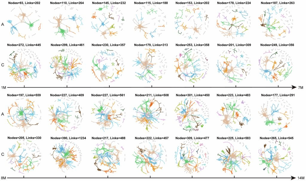 14315A669BFC26C656C8875C0C2_4D197291_1C6B9 14315A669BFC26C656C8875C0C2_4D197291_1C6B9