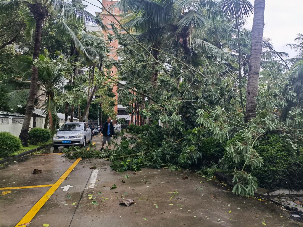 EED1F4EDBF6C4A8D0FDFD15991B_00096E3D_3485E