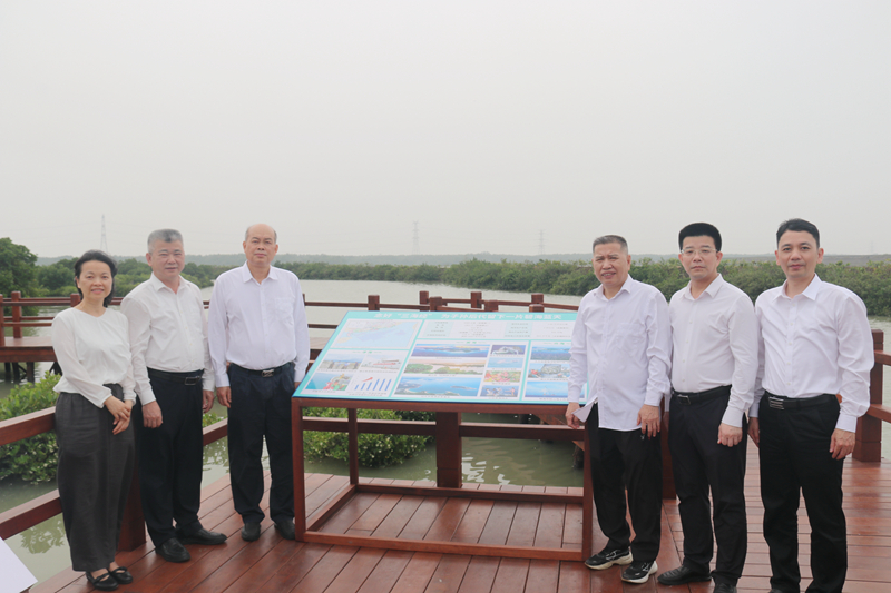 330DE3C7F02E48DF960B606699F_2D6513EA_6F416