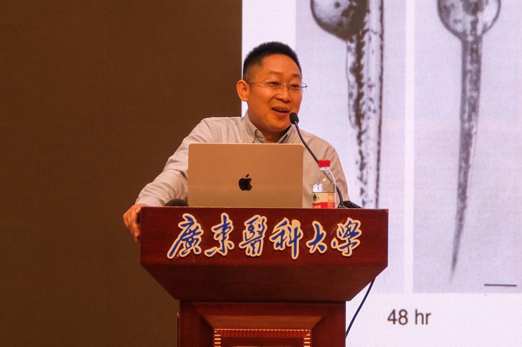 30107EAFEE828AB429AD324F38C_D038D65B_EBBA