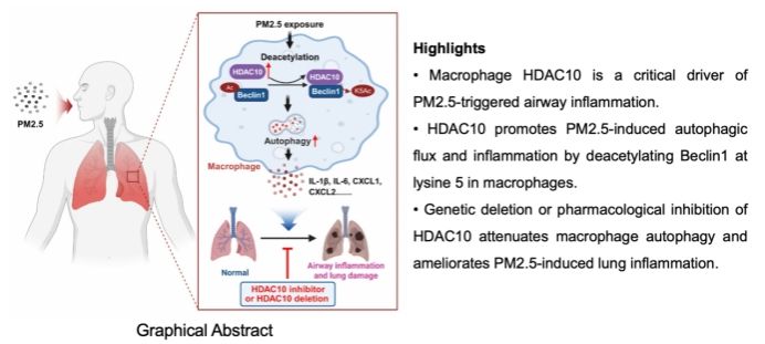 0970812005324FC2F21FD307EC0_0D541448_9232