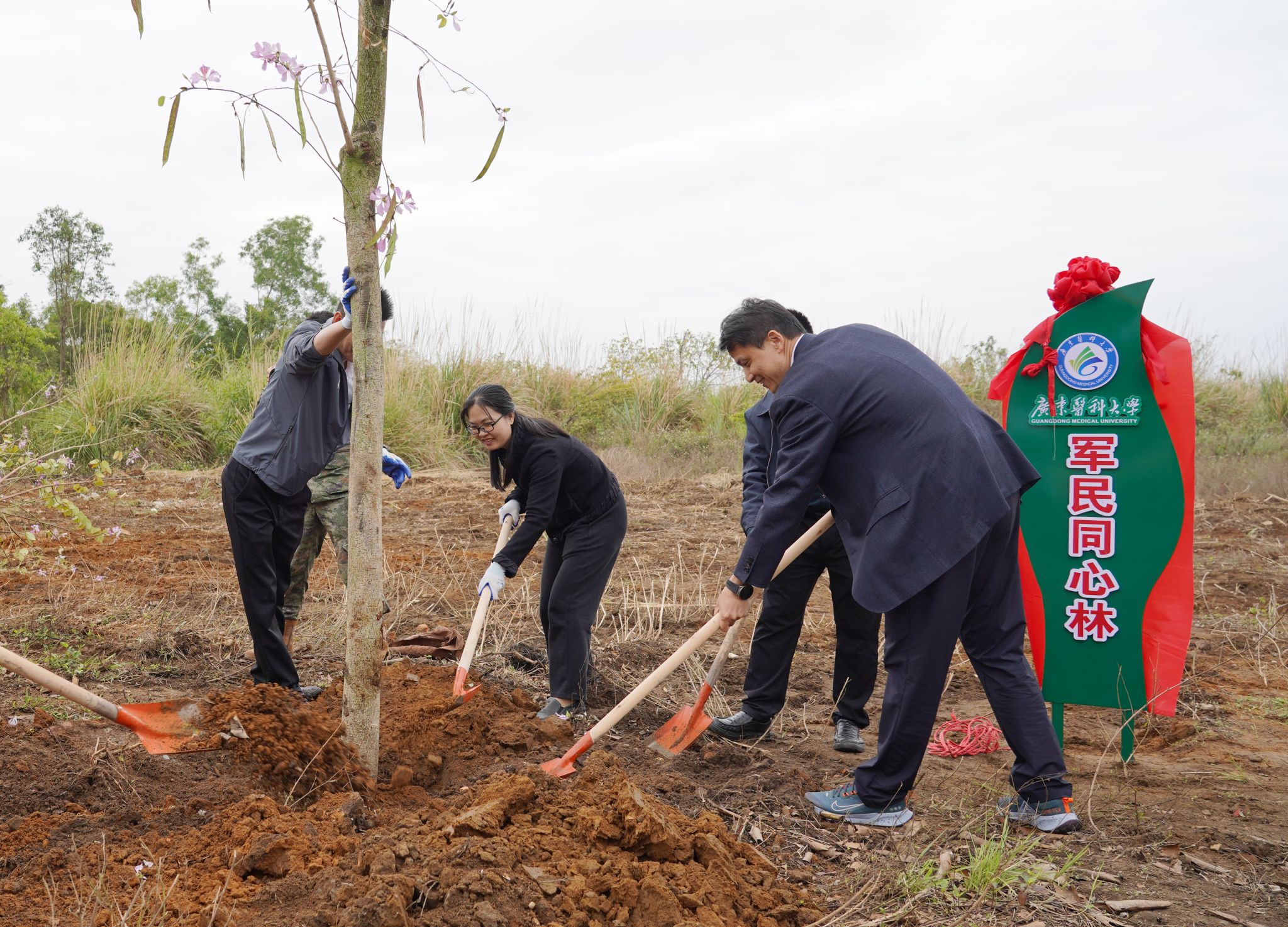 34D58061296976740D913363FCA_6D70D3CE_92E2C