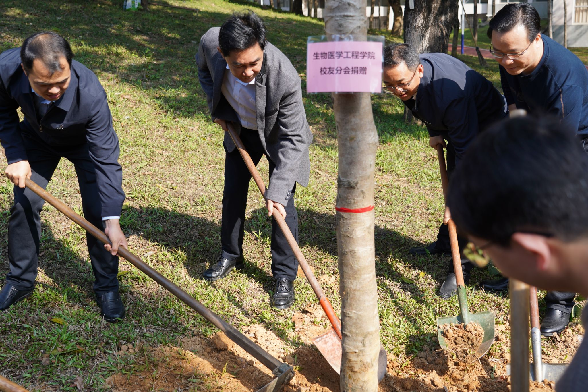 9E26FD2962D5C0EE47F66080A64_AF9DE0F7_9E0D6