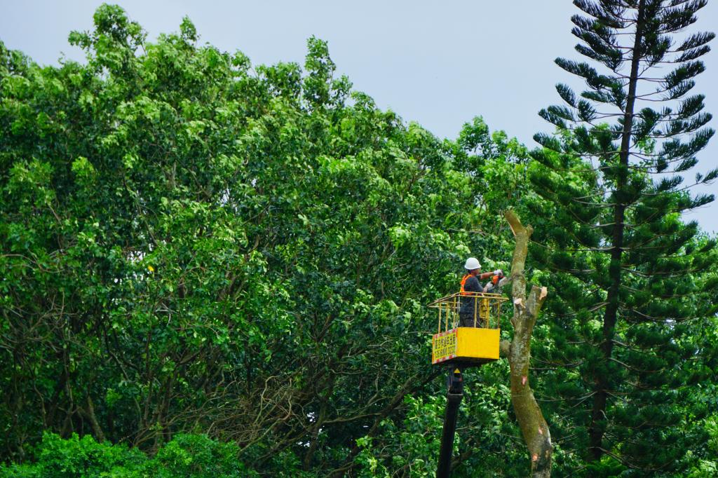 CAEE082A5A0AD14FBAF98BD936B_ECC12055_2CA27