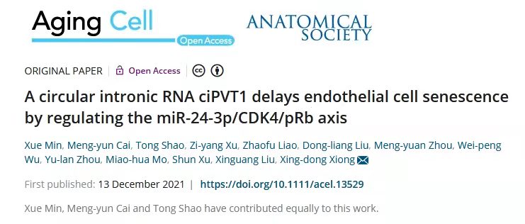 BA67015CE20FFD5E164BD884592_4A0ECC3E_B278