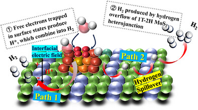 0E50BB73470B1251D9D60771CF8_9B445ACC_20047