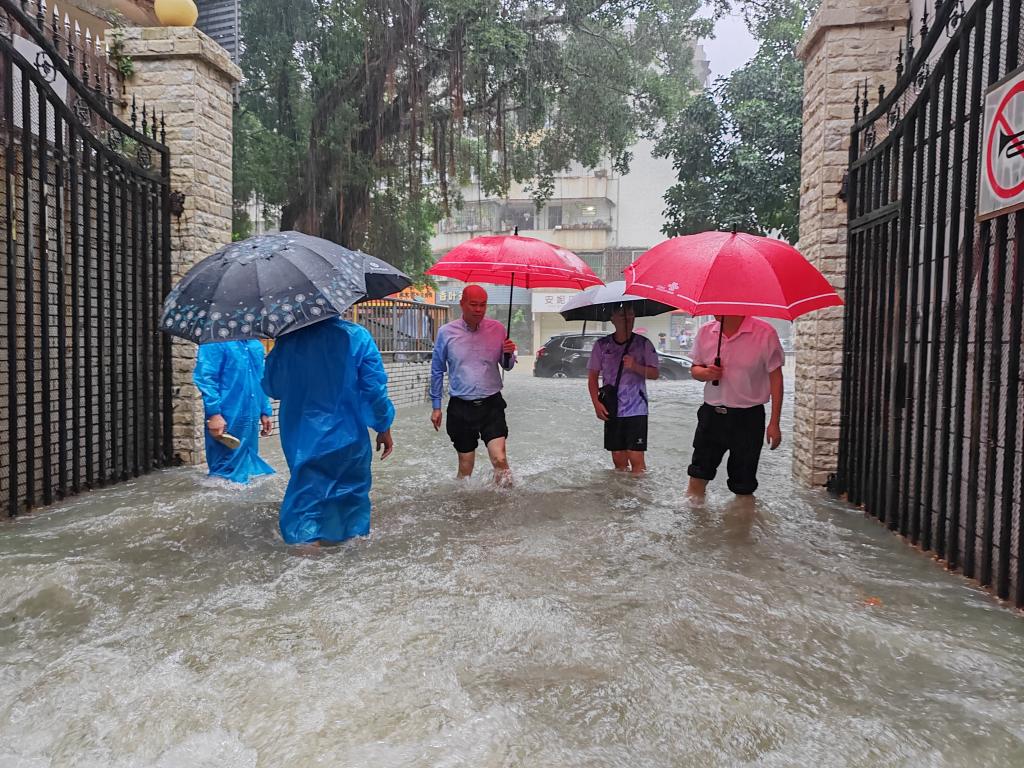 B8A0FB0F097E29F27D3A2E482A9_C3A4F3CF_2CF5D