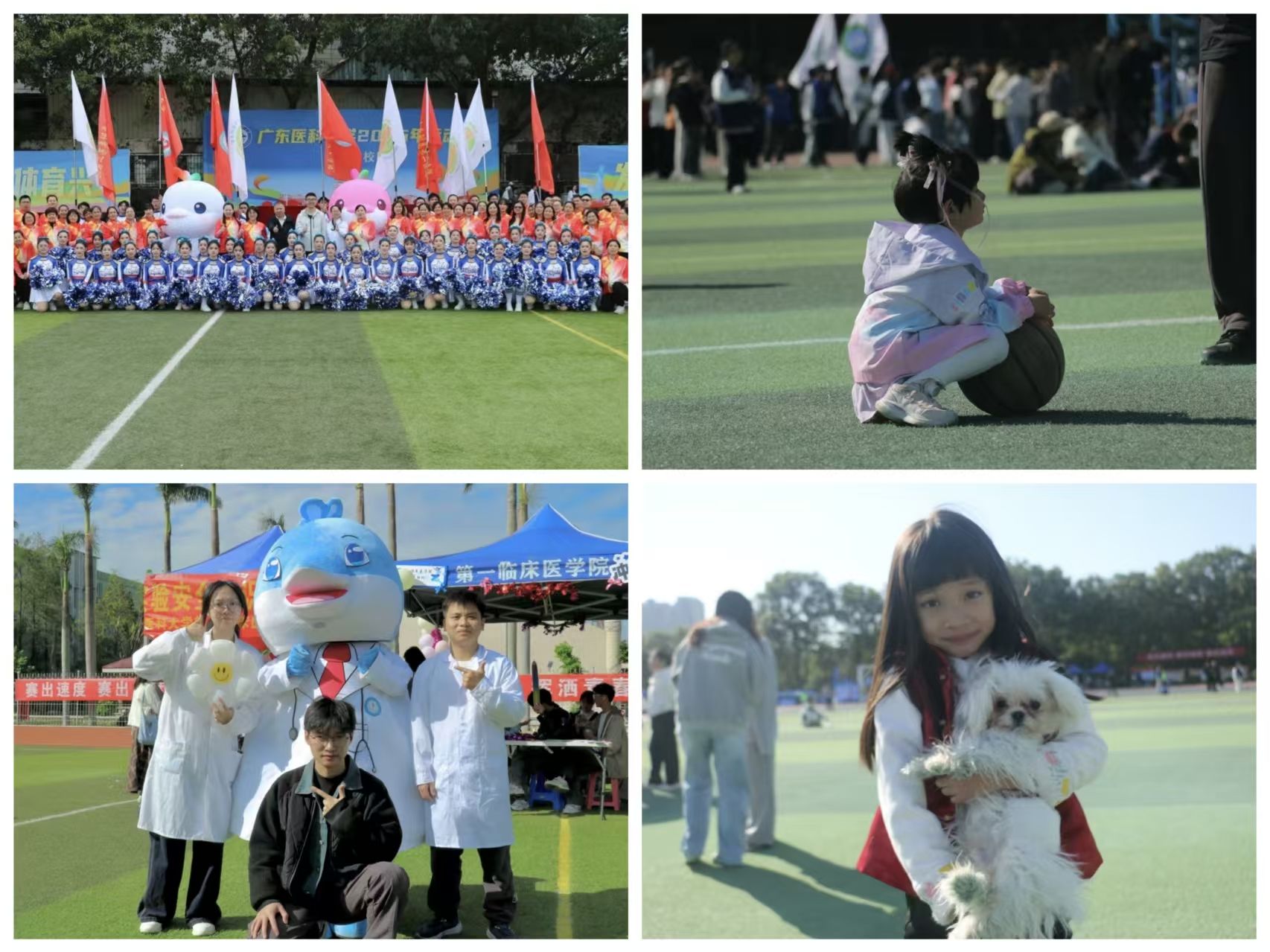 DC8BD5BBD410D6753C5303EB78B_BEAAD6EC_4461E