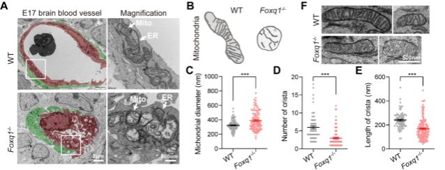 D6C8B2157F0AA871666390B182C_A0507701_832A