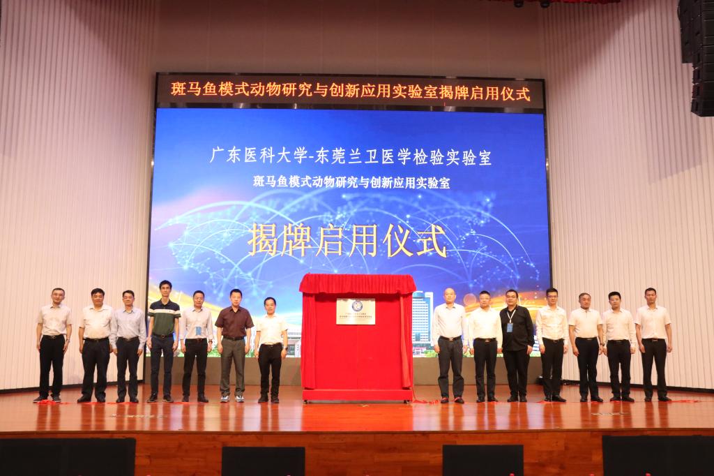 0AC0A9E6A89C657DF07A4209609_AB902CDC_17E78