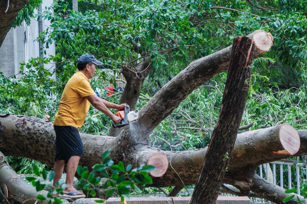 0D4B4E907B23F9C1A3A686A28CC_B8531626_2F49E