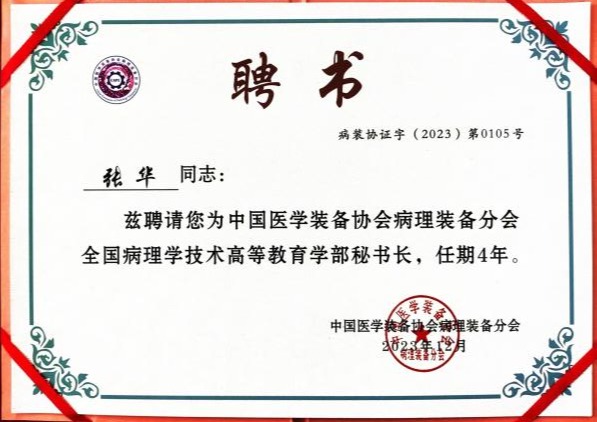 B1AC320275744A732EF6256725C_5261E46E_E8AF 9a882774be75ae1c4cf878892a6df0b