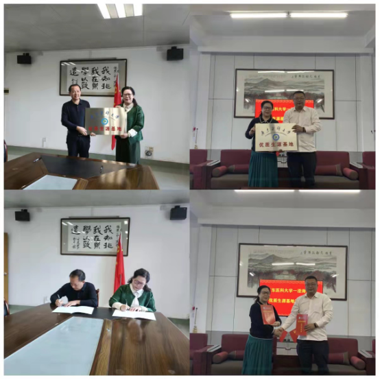 CA32BCDD80280B5B4129A49C7B0_B03E6FFF_12C5C3