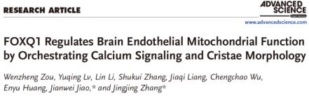 496AA5AA7D22DC8321F3B6705BF_CD52CE3F_BA4C