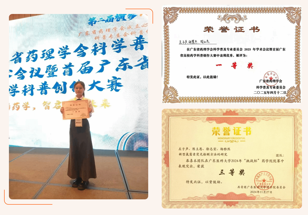 120E5B374252E01C2F730408250_38815B15_62864