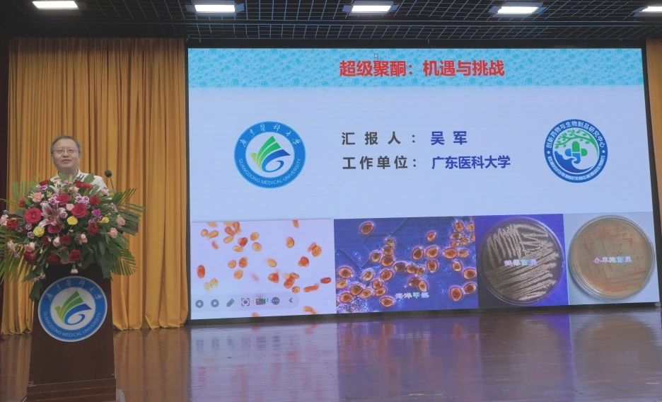 42D6D57CB1AA5E18BB0AF4951AF_EC28220F_2EEBF 42D6D57CB1AA5E18BB0AF4951AF_EC28220F_2EEBF