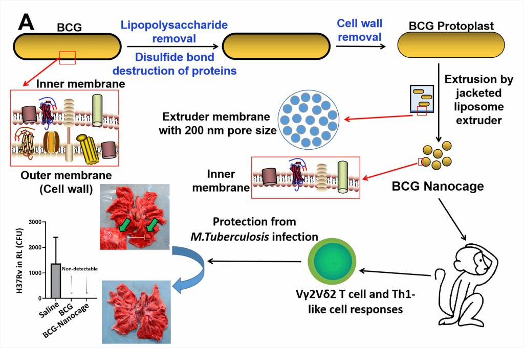 228CB04EF4D314275B987935678_877621FD_18EB9 graphic abstract