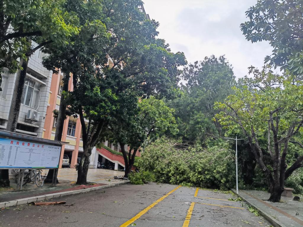 A365382207AE583753532965343_A9EB826B_313A2