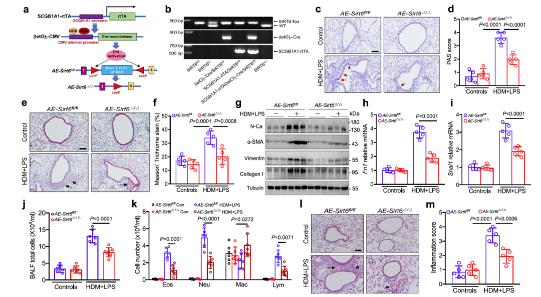 14179BB6A63FBF5E7A782F237EA_128666F5_81FE8 14179BB6A63FBF5E7A782F237EA_128666F5_81FE8