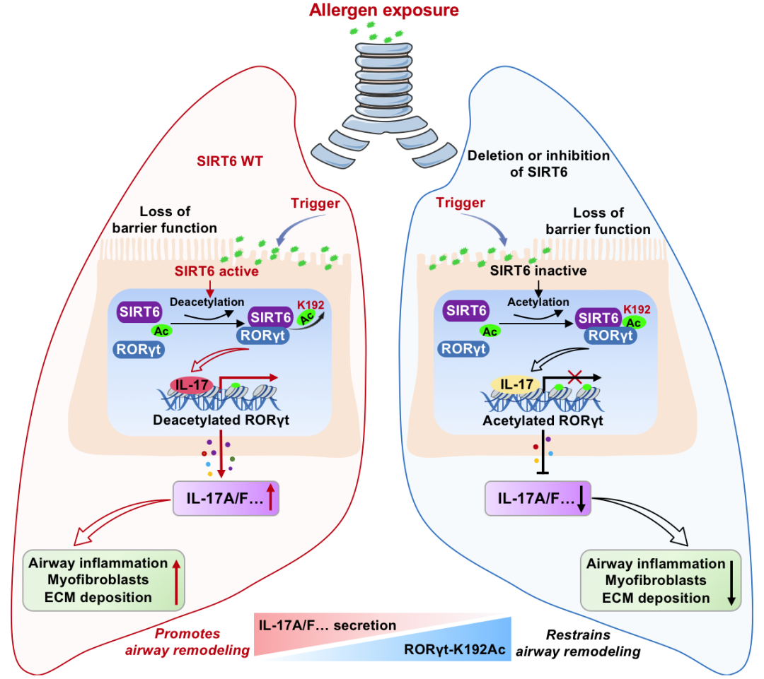 9F7A334D242D43798B49CE8C77A_9D5E2DB6_66D78 9F7A334D242D43798B49CE8C77A_9D5E2DB6_66D78