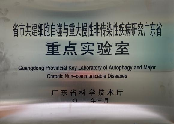 650997DFB2554DF063781819C27_90CFB7E6_2FF94