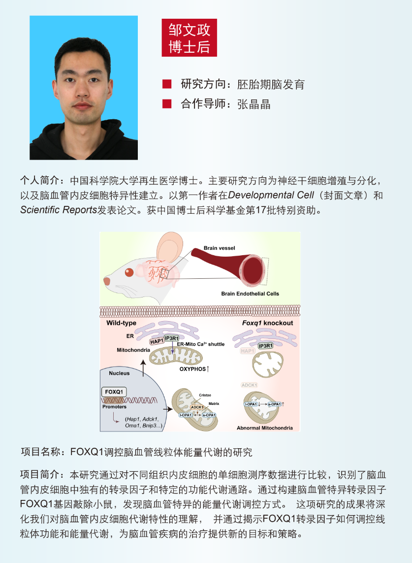 CBCAC5738EA6EB29CC50D7E16AF_BE5A5918_67BEE