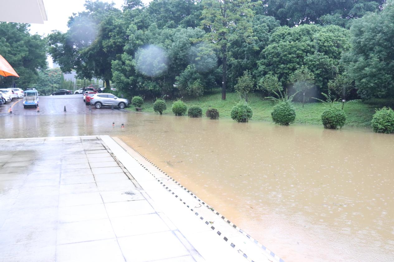 B3F5778BF49BDD9A9485435D0F6_439347F4_262B3