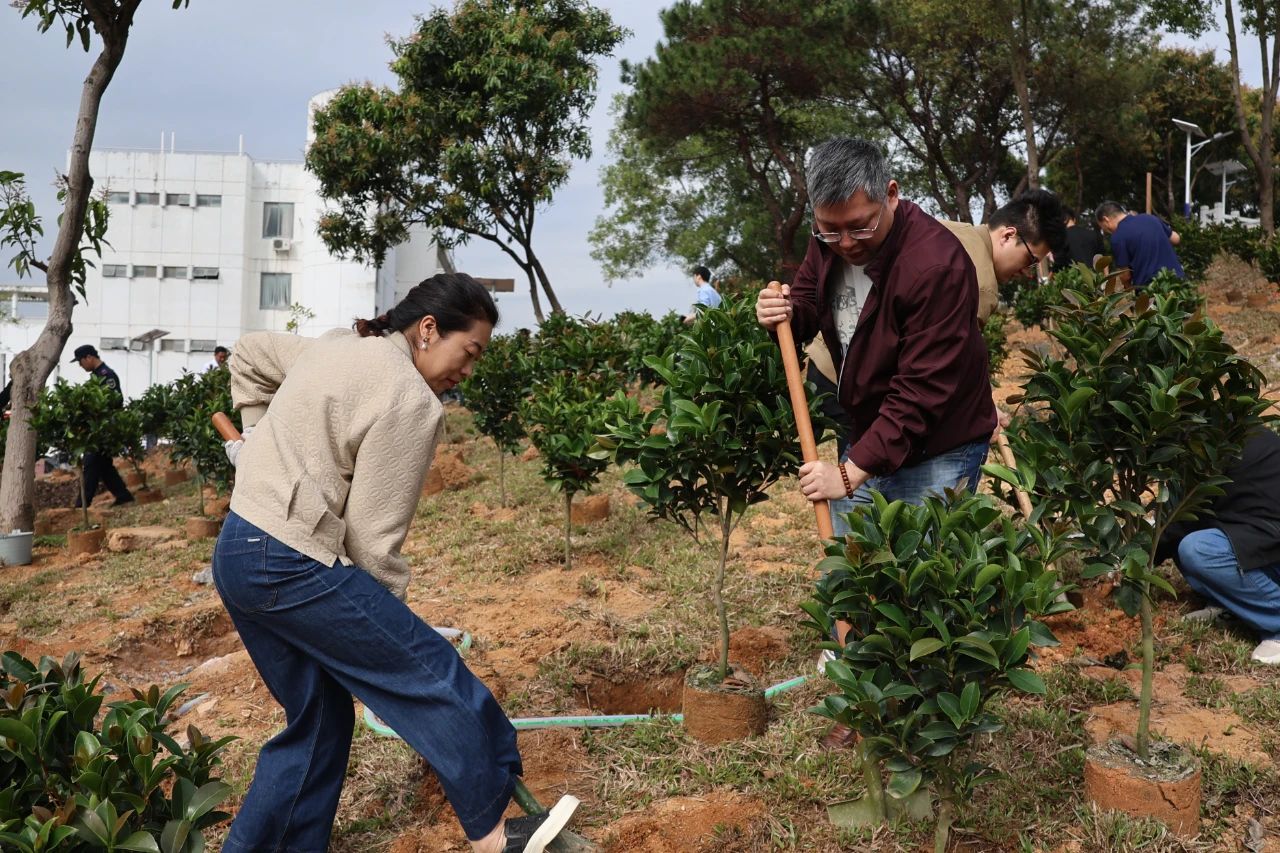 C29D3975DAD70CAC9EBF268D17D_43759D2B_44D06 C29D3975DAD70CAC9EBF268D17D_43759D2B_44D06