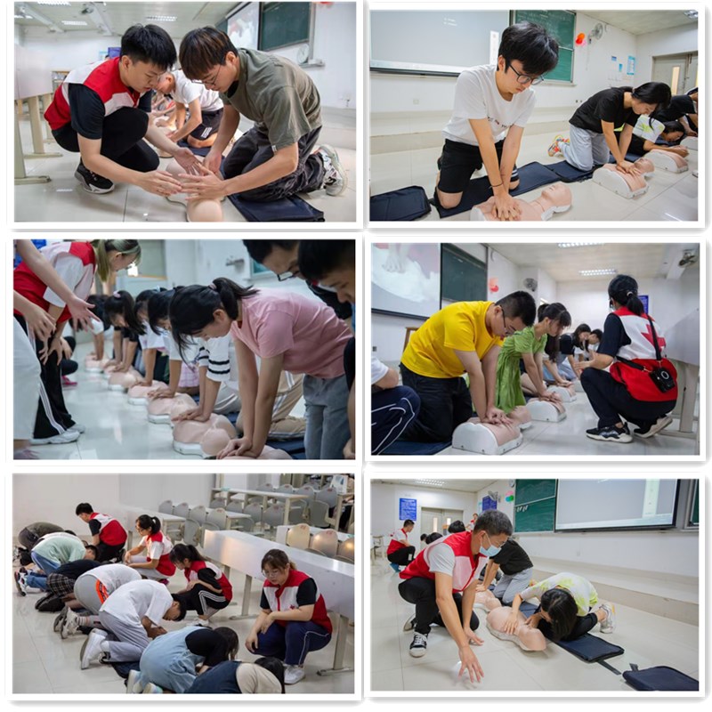 86F202613FE9936DD434EF17BAC_BC05EF38_29230